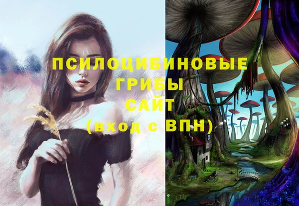 MDMA Медногорск